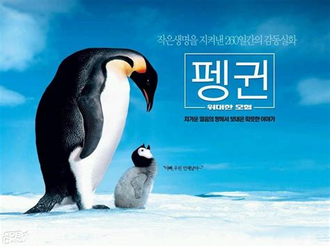 帝企鹅日记(2005)的海报和剧照 第37张/共44张【图片网】