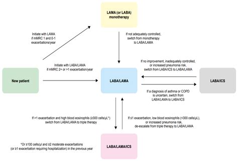 LABA/LAMA as First-Line Therapy for COPD: A Summary of the Evidence and Guideline Recommendations