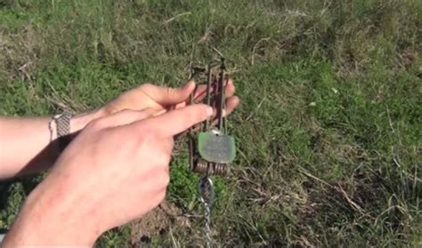 Image result for Gopher Traps