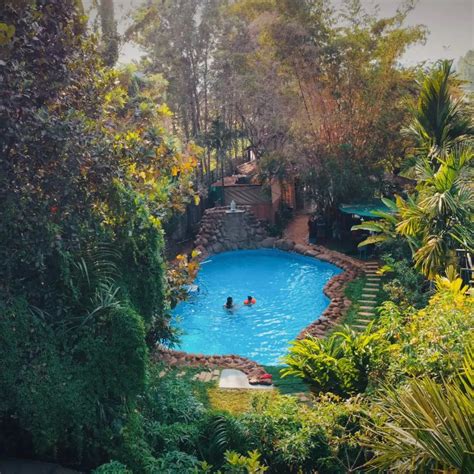 🌿 Best Farm Stay in Bangalore for a Perfect Weekend Getaway