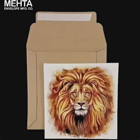 Rigid Mailers Size 6 x 6 Inches 430 GSM Pack of 10 Envelope ME-127 ...