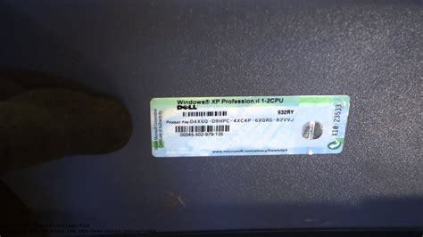 Image result for CodeRunner License Key