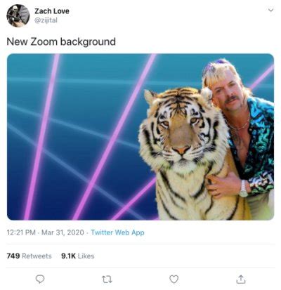 30 Funny Zoom Backgrounds You Need In Your Life! Tl;dv, 47% OFF