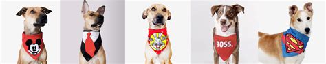 Amazon.in: That Dog In Tuxedo: Dog Bandana