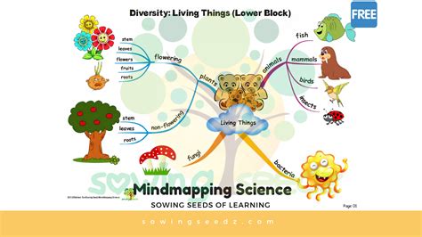 Science Help 的图像结果