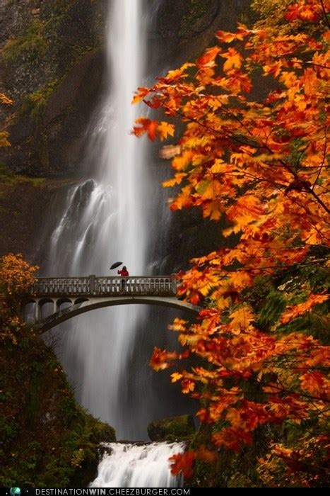 Image result for Fall Fail