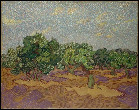 Olive Trees by Vincent Van Gogh | Buy Posters, Frames, Canvas & Digital ...