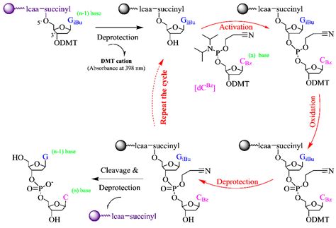 A Simple and Efficient Microfluidic System for Reverse Chemical ...