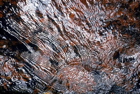 Reflection 的图像结果