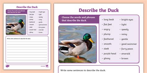 Describe the Duck Writing Worksheet