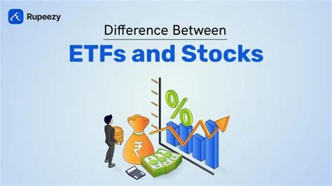 Best Small Cap ETF in India to Invest 2025 | Rupeezy