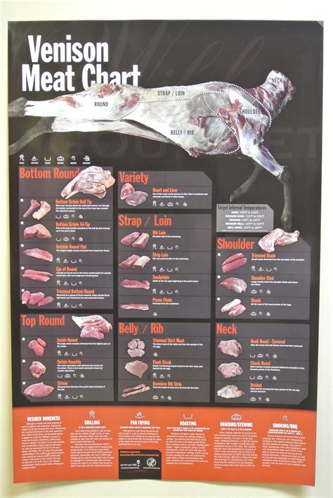Venison Meat Chart | Venison meat, Venison, Deer meat