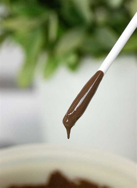 https://www.pankobunny.com/wp-content/uploads/2024/01/dip-lollipop-sticks-into-chocolate-745x1024.jpg?utm_source=chatgpt.com