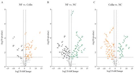 Nopalea cochenillifera Regulates the Immune Response and Gut Microbiota ...