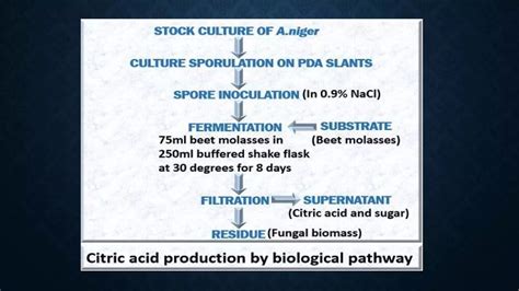 Citric acid production | PPTX