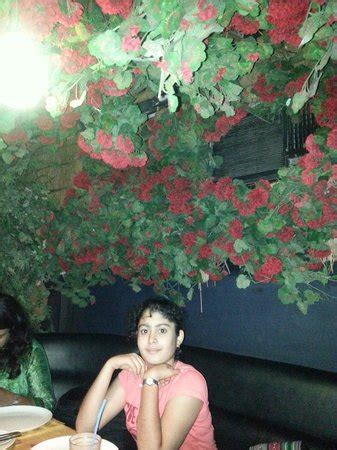 RAIN FOREST, Chennai (Madras) - Adyar - Menu, Prices & Restaurant ...