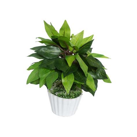 Buy Voncasa Artificial Plant with Pot Green Online