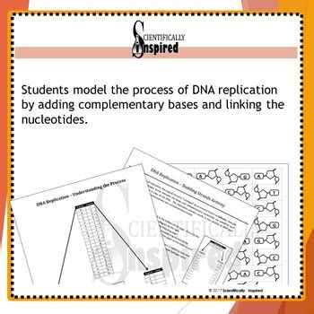 Image result for How to Make DNA Complementary Strands