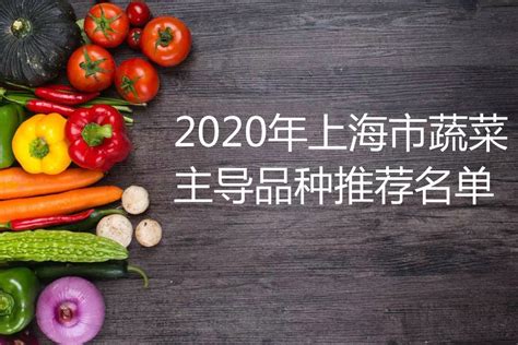 2020年上海市蔬菜主导品种推荐名单 | 上海蔬菜食用菌行业协会