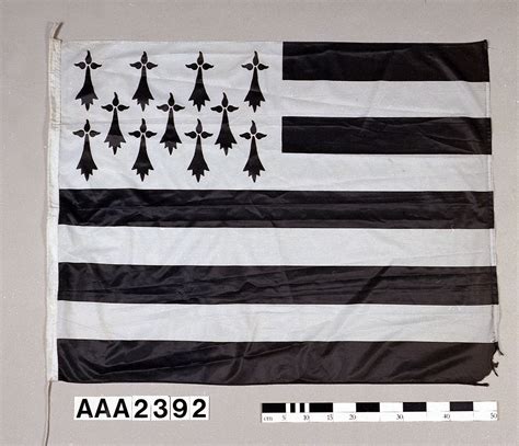 Brittany Flag France Winken Flagge Der Bretagne Stockfoto Und Mehr