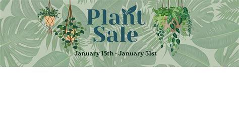 Home - My Fresh Basket