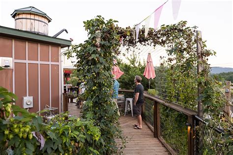 10 Reasons to Visit Whistle Hop Brewing — This Here Town