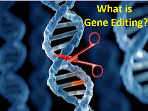 What is Gene Editing, CRISPR/Cas9, Examples, and Benefits?