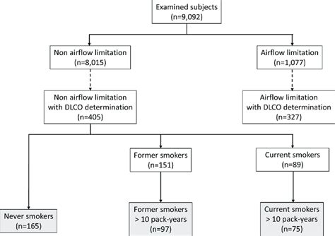 Image result for Diffusing Capacity Chart