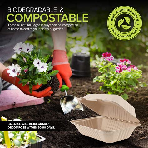 STOCKYOURHOME Bagasse Clamshell Takeout Containers, Biodegradable Eco ...