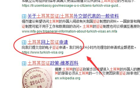 分享土耳其最新签证，几分钟获得电子签证_360新知