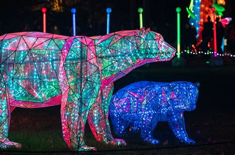 Reliving the Magic of WildLanterns at the Woodland Park Zoo — Converge ...