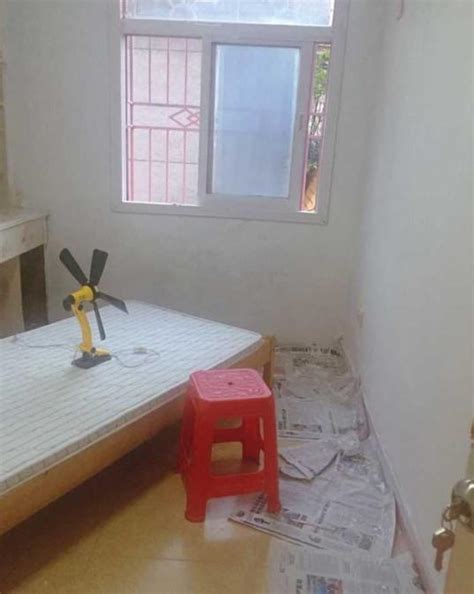 一位广州姑娘花小钱改造租房，独居的1室1厅，简单改造后自在惬意 - 每日头条
