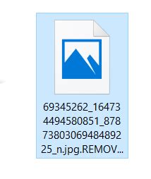 Image result for Python Instabot