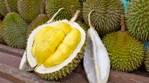 Ministry Of Agriculture Malaysia Durian - Lacmymages