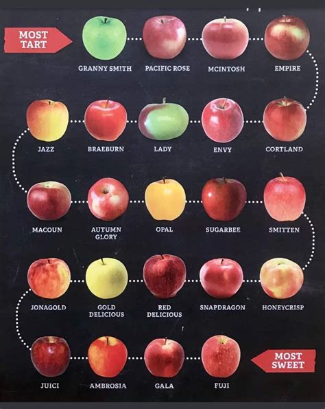 Your Guide To Common Types Of Apples And How To Use Them Taste Of Home - kulturaupice - types of apples