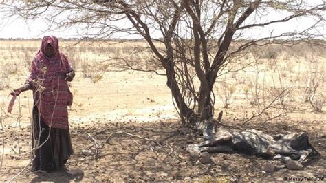 Ethiopia Grapples With Worst Drought in 30 Years | NewsClick