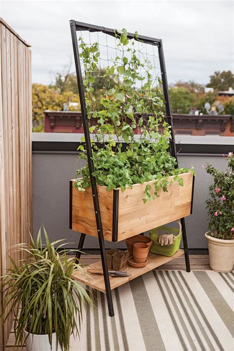 Cedar Planter Box: Apex Trellis Planter - Elevated Planter +Trellis ...