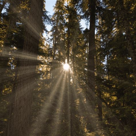 Image result for KS2 Light Experiments