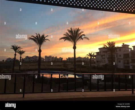 Spanish sunset with palms over pool Stock Photo - Alamy