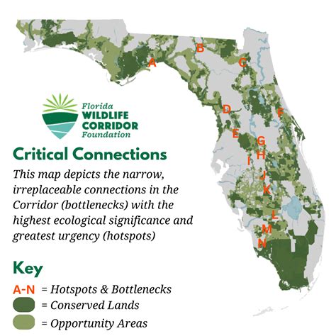 Florida Wildlife Corridor Foundation 2022 Impact Report