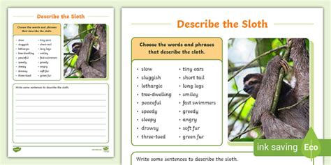 Describe the Sloth Writing Worksheet,sloth (teacher made)