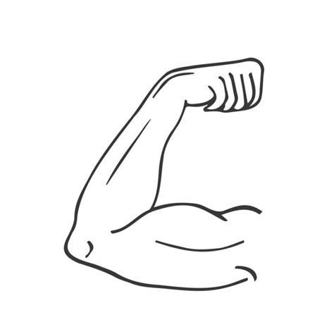 Strong Arm Vector 的图像结果