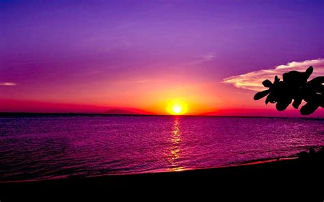 Sunset Laptop Wallpapers - Top Free Sunset Laptop Backgrounds ...