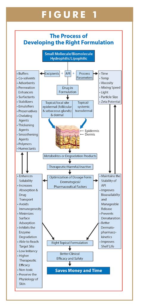 Image result for Topical Formulation Development Decison Tree