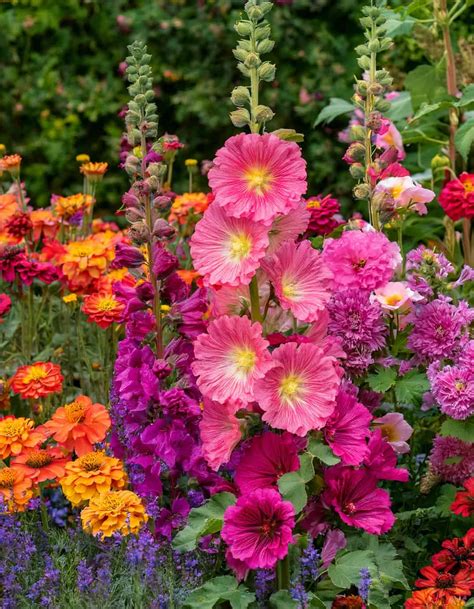 What is 14-14-14 fertilizer good for? A complete Guide | Bigger Garden