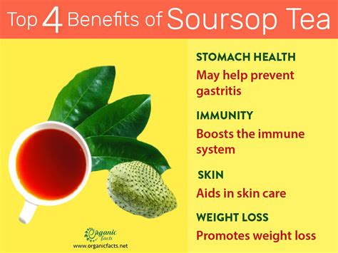 Benefits Of Soursop Tea