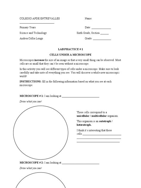 Biology Lab Experiments 的图像结果