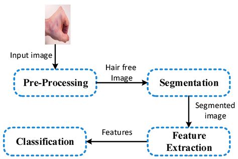 An Intelligent Computer-Aided Scheme for Classifying Multiple Skin Lesions