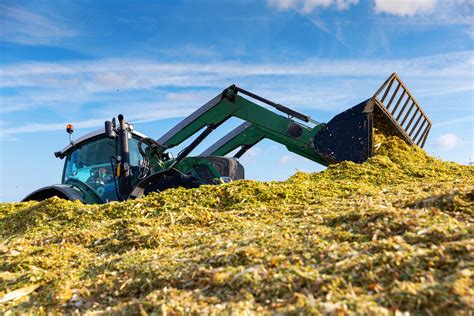 Insights and Forecasts: Corn Silage: How to Make It Perfect | BKT Tires