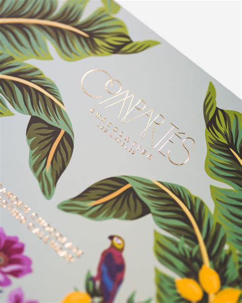 Gourmet Chocolate Advent Calendar | Compartes